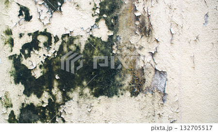 Close-up texture of an old concrete wall with cracked and peeling beige paint covered with black and green mold stains. 132705517