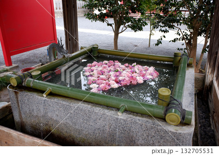 千葉県柏市　布施弁天の花手水 132705531