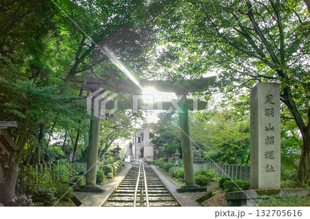 福井市・足羽山招魂社の鳥居、新緑の隙間から差し込む神聖な光と石段の風景 福井市・足羽山招魂社の鳥居、新緑の隙間から差し込む神聖な光と石段の風景 132705616