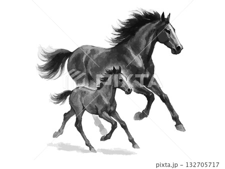 親子馬の水墨画シルエット年賀状素材 132705717