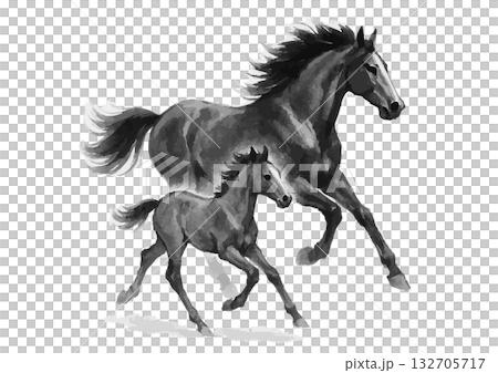 親子馬の水墨画シルエット年賀状素材 132705717