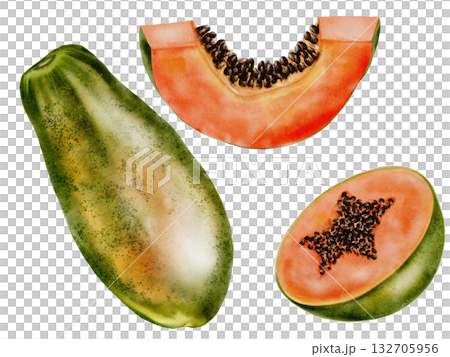 Papaya watercolor set. Hand drawn ripe tropical fruit on white background. Ideal for logo, cosmetics and product packaging 132705956