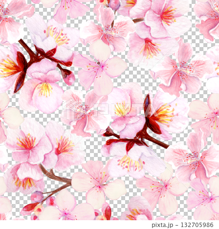 Cherry blossom branch with delicate pink petals seamless pattern. Hand-painted watercolor clip art isolated on white, perfect for spring decor, wedding invitations, Asian design, or floral projects Cherry blossom branch with delicate pink petals seamless pattern. Hand-painted watercolor clip art isolated on white, perfect for spring decor, wedding invitations, Asian design, or floral projects 132705986