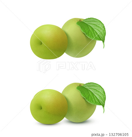 梅 イラスト リアル　梅の実 132706105