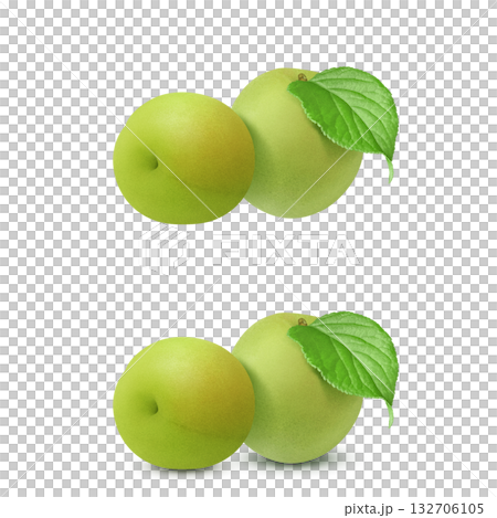 梅 イラスト リアル　梅の実 132706105