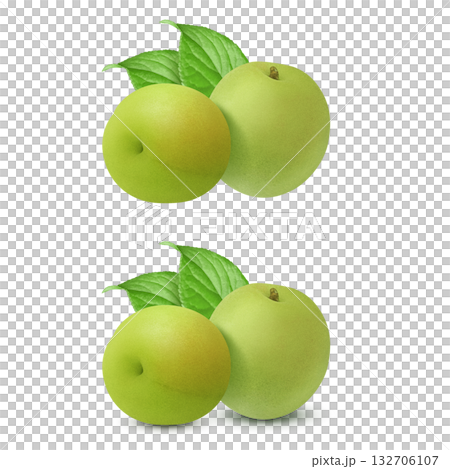 逼真的李子插圖 逼真的李子插圖 132706107
