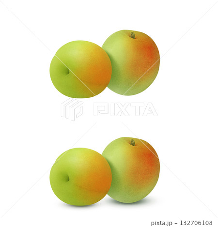 梅 イラスト リアル　梅の実 132706108