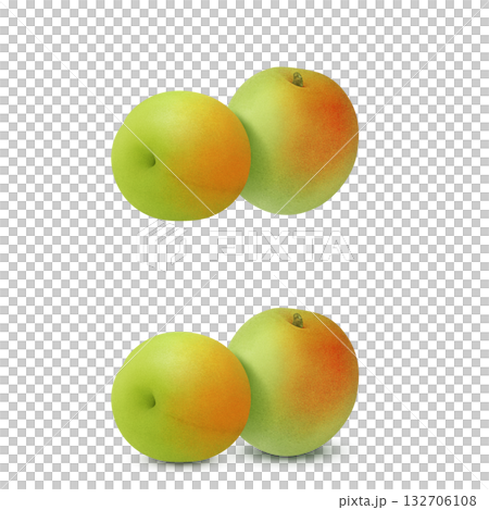 梅 イラスト リアル　梅の実 132706108