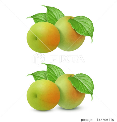 梅 イラスト リアル 梅の実 梅 イラスト リアル 梅の実 132706110