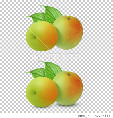 Plum illustration realistic plum fruit Plum illustration realistic plum fruit 132706111