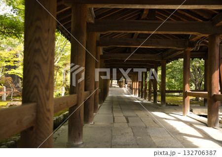 東福寺　やさしい日差しが差し込む通天橋2 132706387