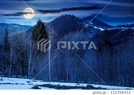 mountain landscape with mixed forest on snow covered slope at night. dark sky with clouds in full moon light. early spring. background for investment or abstract concepts. naked trees mountain landscape with mixed forest on snow covered slope at night. dark sky with clouds in full moon light. early spring. background for investment or abstract concepts. naked trees 132706433