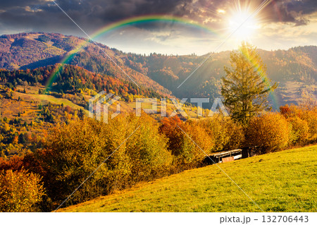 sunny autumn in mountain landscape at sunset. beautiful view of trees in fall foliage on the hillside. alps of countryside in evening light under blue sky. scenery with forest on slope under rainbow 132706443