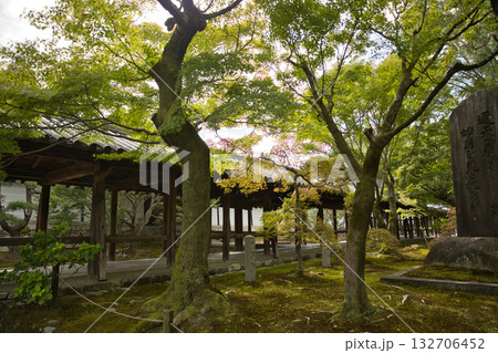 東福寺　苔むしたお庭と青楓と通天橋1 132706452