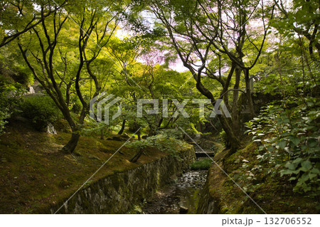 東福寺 洗玉澗と木漏れ日が美しいお庭1 東福寺 洗玉澗と木漏れ日が美しいお庭1 132706552