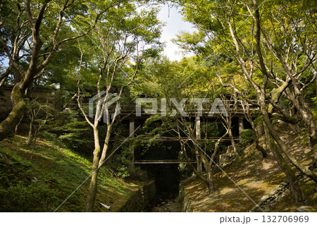東福寺　洗玉澗と木漏れ日と通天橋 の橋脚 132706969