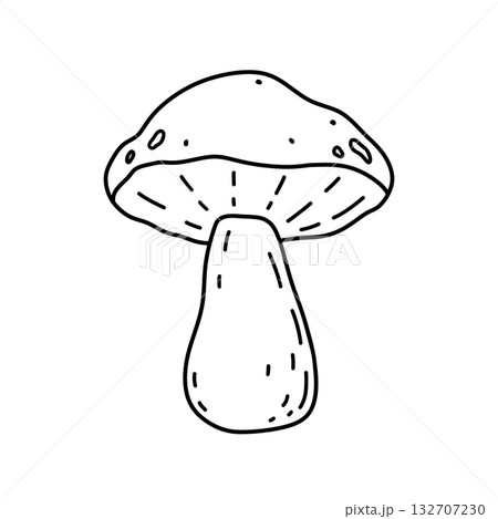 A mushroom isolated on a white background 132707230