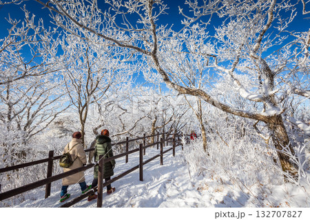 Winter landscape in Korea, Korean Winter atop Deogyusan Mountain at Deogyusan National Park near Muju, South Korea. Winter landscape in Korea, Korean Winter atop Deogyusan Mountain at Deogyusan National Park near Muju, South Korea. 132707827