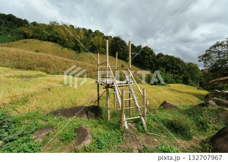 Beautiful step of rice terrace Beautiful step of rice terrace 132707967
