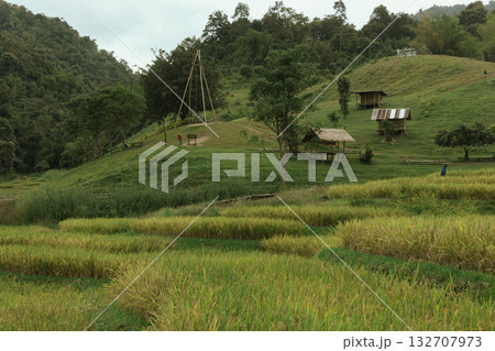 Beautiful step of rice terrace 132707973