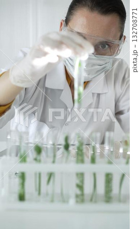 Woman scientist wearing a lab coat, white gloves, face mask and protective glasses, is holding a test tube with plants inside, vertical portrait view. Science and medicine 132708771
