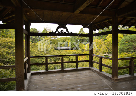 東福寺　通天台から青楓を愛でる1 132708917