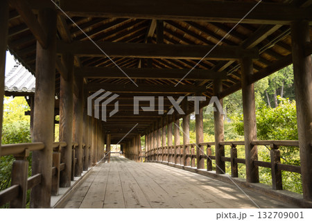 東福寺　朝つかの間静寂に包まれる通天橋6 132709001