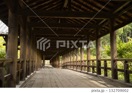 東福寺　朝つかの間静寂に包まれる通天橋7 132709002