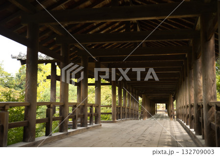 東福寺　朝つかの間静寂に包まれる通天橋8 132709003