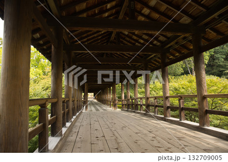 東福寺 朝つかの間静寂に包まれる通天橋9 東福寺 朝つかの間静寂に包まれる通天橋9 132709005