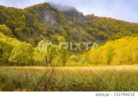 つぶれ池の黄葉【北安曇郡小谷村】 132709218