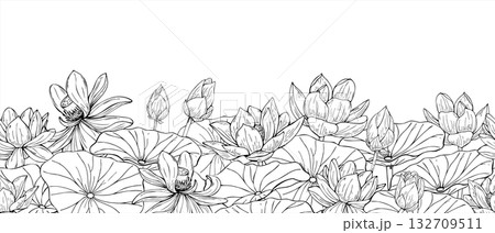 Monochrome blooming Lotus with leaves seamless horizontal banner line art black ink sketch. Vector Water lily vector hand drawn illustration. Water plant patter. Floral ornate for textile, greetings Monochrome blooming Lotus with leaves seamless horizontal banner line art black ink sketch. Vector Water lily vector hand drawn illustration. Water plant patter. Floral ornate for textile, greetings 132709511