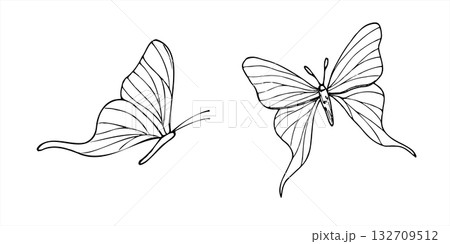 Two butterflies in two flying poses vector isolated illustration painted by black inks. Front view and side view. Hand drawn monochrome mystical fluttering insects for greeting cards, invitations Two butterflies in two flying poses vector isolated illustration painted by black inks. Front view and side view. Hand drawn monochrome mystical fluttering insects for greeting cards, invitations 132709512