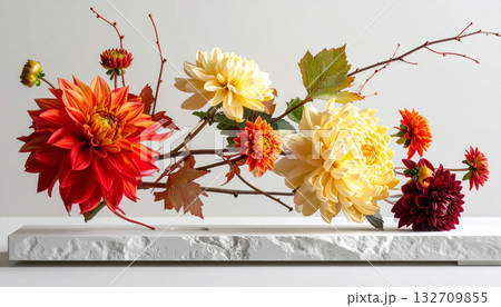 Colorful Dahlias Displayed on Modern Stone Platform 132709855