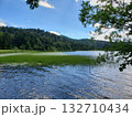 湖と湿地 湖と湿地 132710434