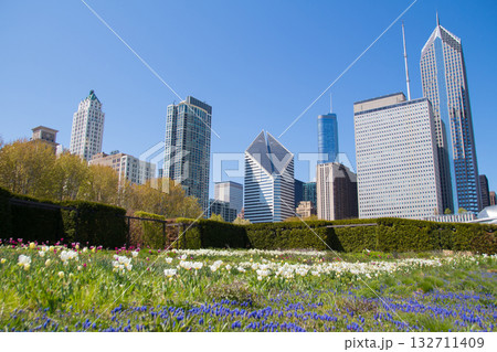 skyscrapers in Chicago skyscrapers in Chicago 132711409