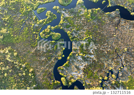 Beautiful nature. Southern Florida wetlands with river between green wild vegetation. Tropical ecosystem Beautiful nature. Southern Florida wetlands with river between green wild vegetation. Tropical ecosystem 132711516