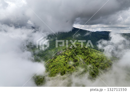 Appalachian mountains. Woods nature in summer wet rainy season. Colorful forest in Tennessee 132711550