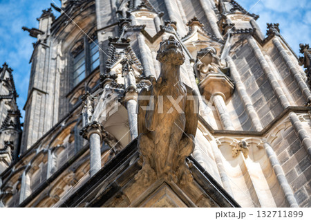Prague, Czech Republic, August 8, 2023. Close-up view of a gargoyle on St. Vitus Cathedral. Beautiful summer day. Travel destinations. 132711899