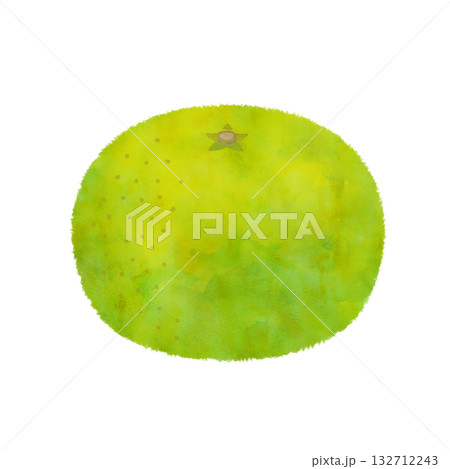 早生みかんのイラスト 水彩風 早生みかんのイラスト 水彩風 132712243