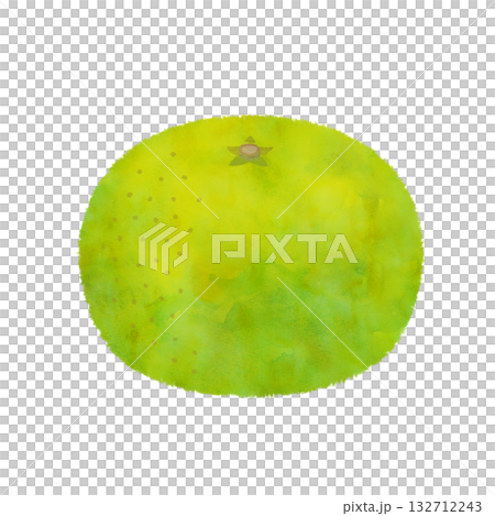 Illustration of early-ripening mandarin oranges in watercolor style Illustration of early-ripening mandarin oranges in watercolor style 132712243