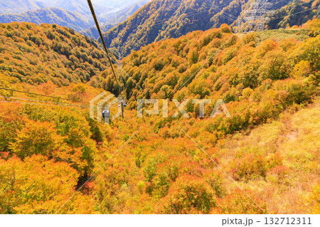 ドラゴンドラからの苗場高原 秋 132712311