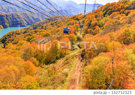 ドラゴンドラからの苗場高原 秋 132712323