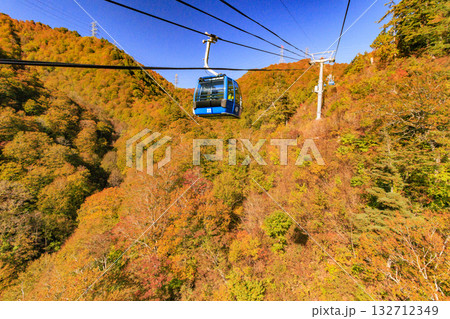 ドラゴンドラからの苗場高原 秋 132712349