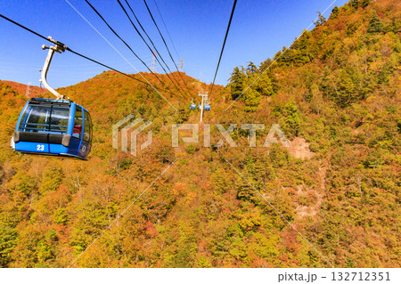 ドラゴンドラからの苗場高原 秋 132712351