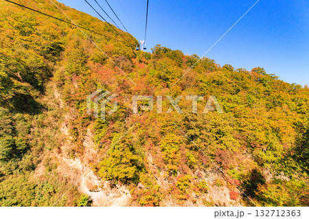ドラゴンドラからの苗場高原 秋 ドラゴンドラからの苗場高原 秋 132712363