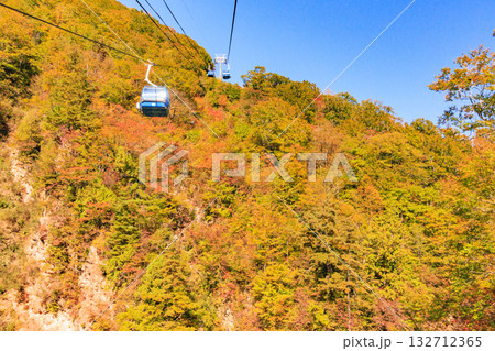 ドラゴンドラからの苗場高原 秋 132712365