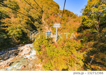 ドラゴンドラからの苗場高原 秋 132712366