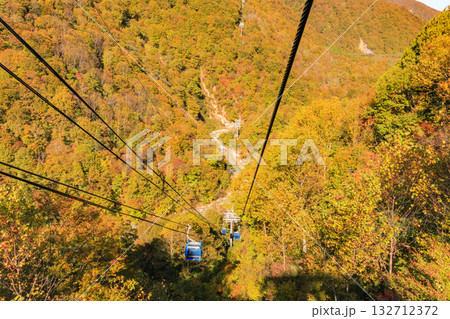 ドラゴンドラからの苗場高原 秋 ドラゴンドラからの苗場高原 秋 132712372
