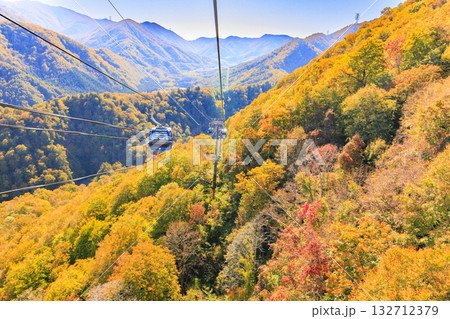 ドラゴンドラからの苗場高原 秋 132712379